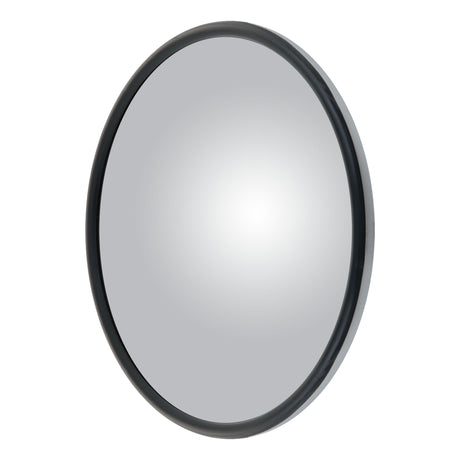 Mirror Head Convex Offset-Mount with Plastic Ball Stud 8" Stainless Steel