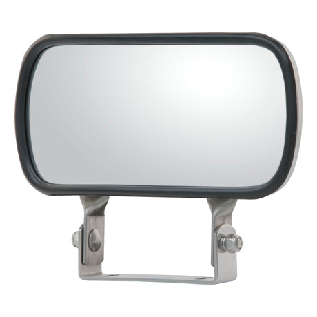 Mirror Assembly Convex Look-Down 8" x 4" Stainless Steel